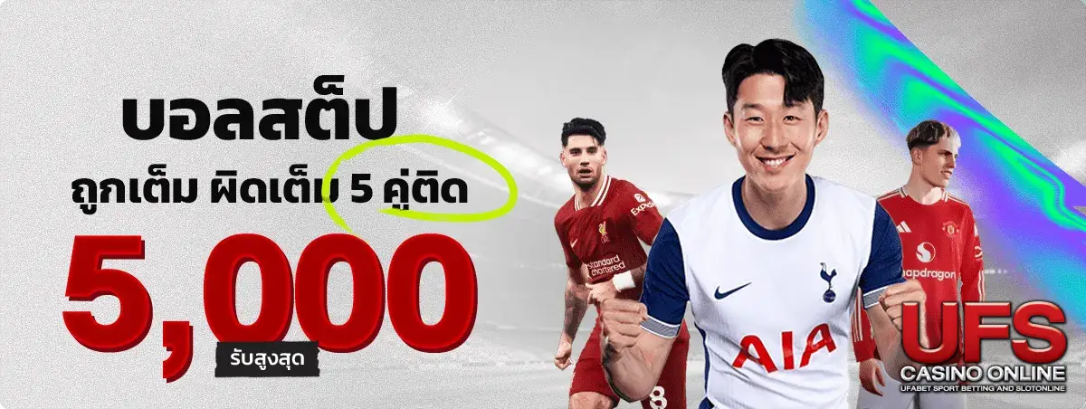 เว็บ ตรง 2024